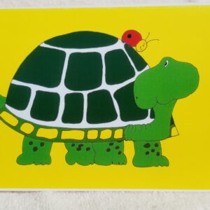 Turtle Card